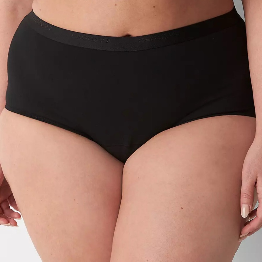 NWT Absorbent Leak-Resistant Panties